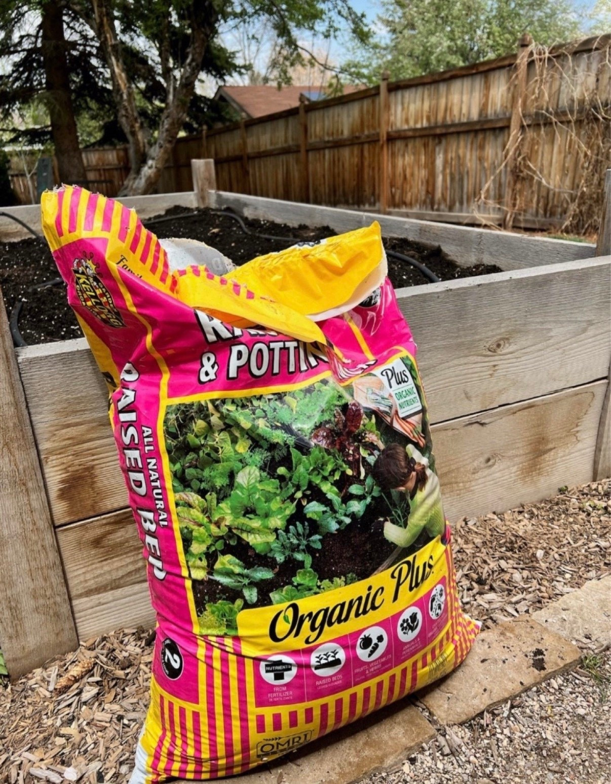 Good soil is the foundation of a happy garden, and I always look for blends that are organic, well-draining, and packed with nutrients. Giving your plants a strong start really does make all the difference! If you’re getting ready for spring planting, here are a few of my tried-and-true favorites.


#LTKFindsUnder50 #LTKFindsUnder100 #LTKSeasonal
