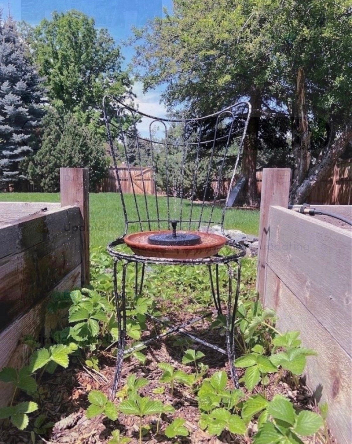 Once the weather starts warming up, I always want to spend more time out in the garden 💙 Adding a little fountain has been one of my favorite ways to make the space feel even more relaxing, and this is the easiest one I’ve found to put together!

#LTKSeasonal #LTKHome #LTKSaleAlert
