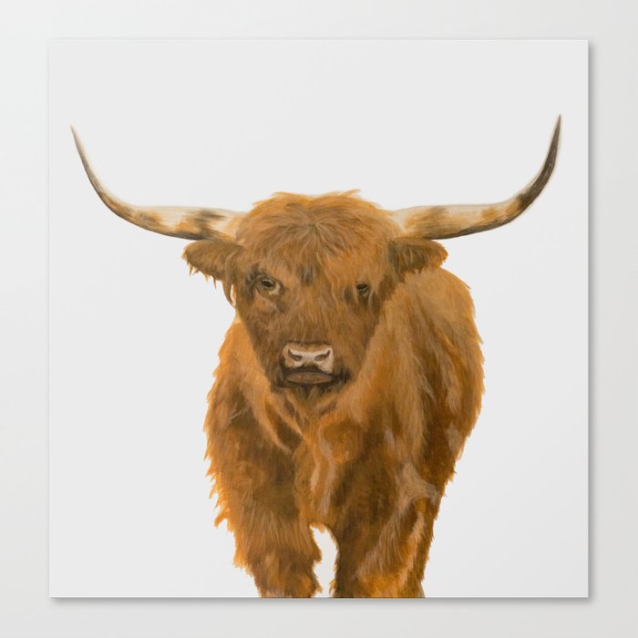 Highland Cow Canvas Print | Society6