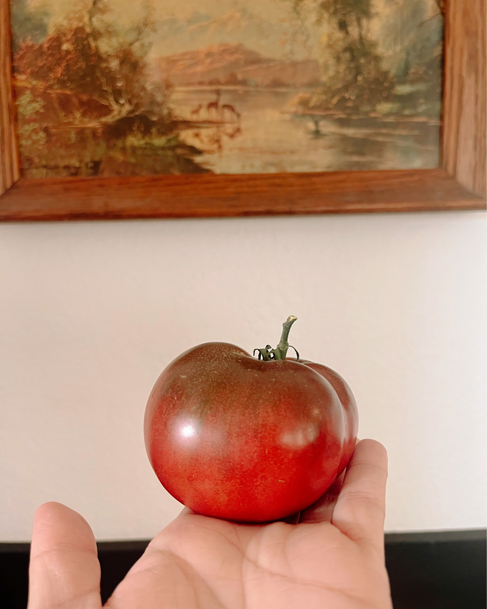 My favorite tomato seeds 🍅 

#LTKSeasonal #LTKHome