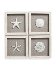 Set Of 4 9x9 Coastal Shells | Marshalls