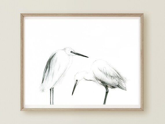 Little Egret, Black White Heron Print, Black White Egret Art, Minimal Home Decor, Bird Wall Art, ... | Etsy (US)