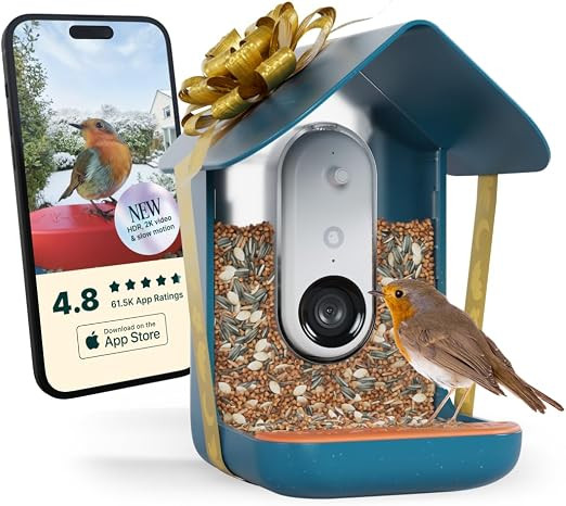 Birdbuddy PRO Non Solar Smart Bird Feeder with Camera - AI Bird Species Identification, 5MP Photo... | Amazon (US)
