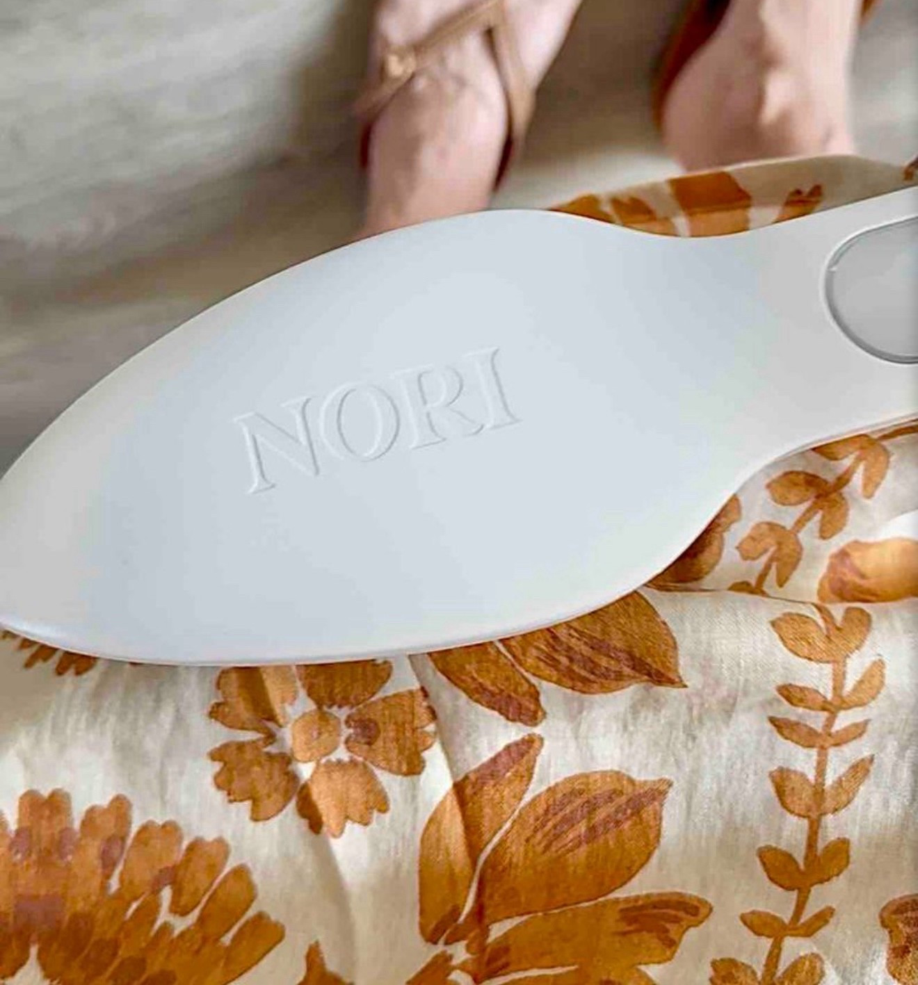 Favorite Handheld Steamer