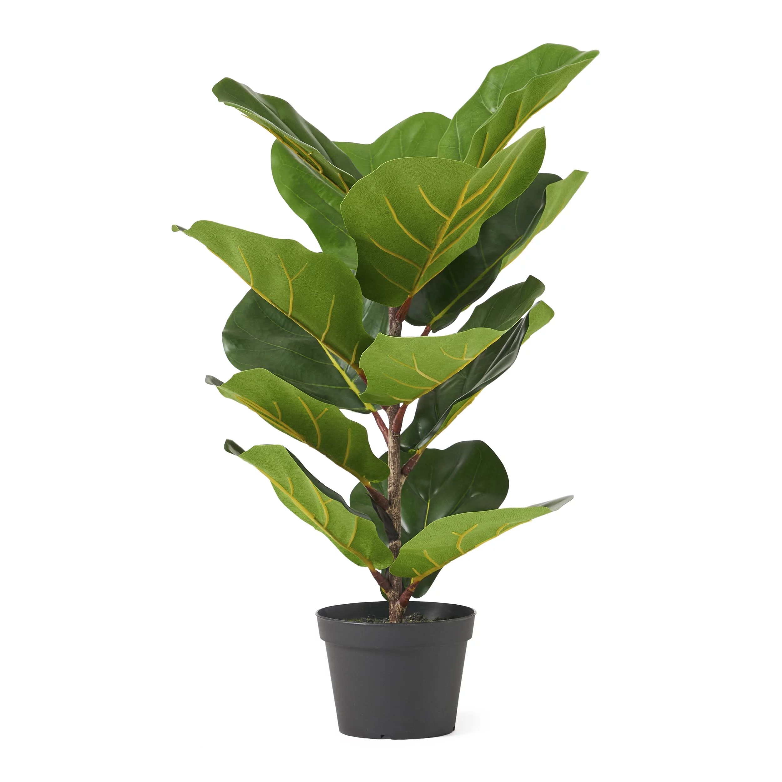 Socorro 2' x 1' Artificial Tabletop Fiddle-Leaf Fig Tree, Green | Walmart (US)