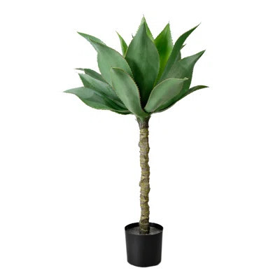 Primrue Artificial Agave Tree In Classic Black Pot, Decorative Tropical Foliage For Balcony, Living Room, Patio, Office, Garden, Gift Idea, Events, We | Wayfair Professional