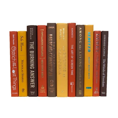 Modern Harvest Serefina | Wayfair North America