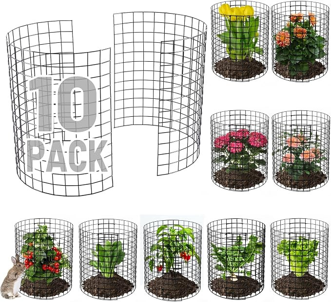 12-gauge Wire Pre-Bent Quick Setup Plant Protectors from Animals -14''H *13''Dia Chicken Wire Pla... | Amazon (US)