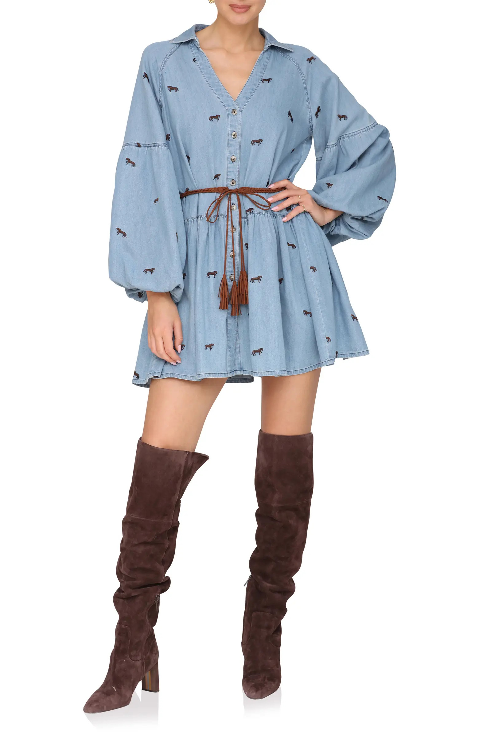 Tie Waist Long Sleeve Chambray Babydoll Dress | Nordstrom