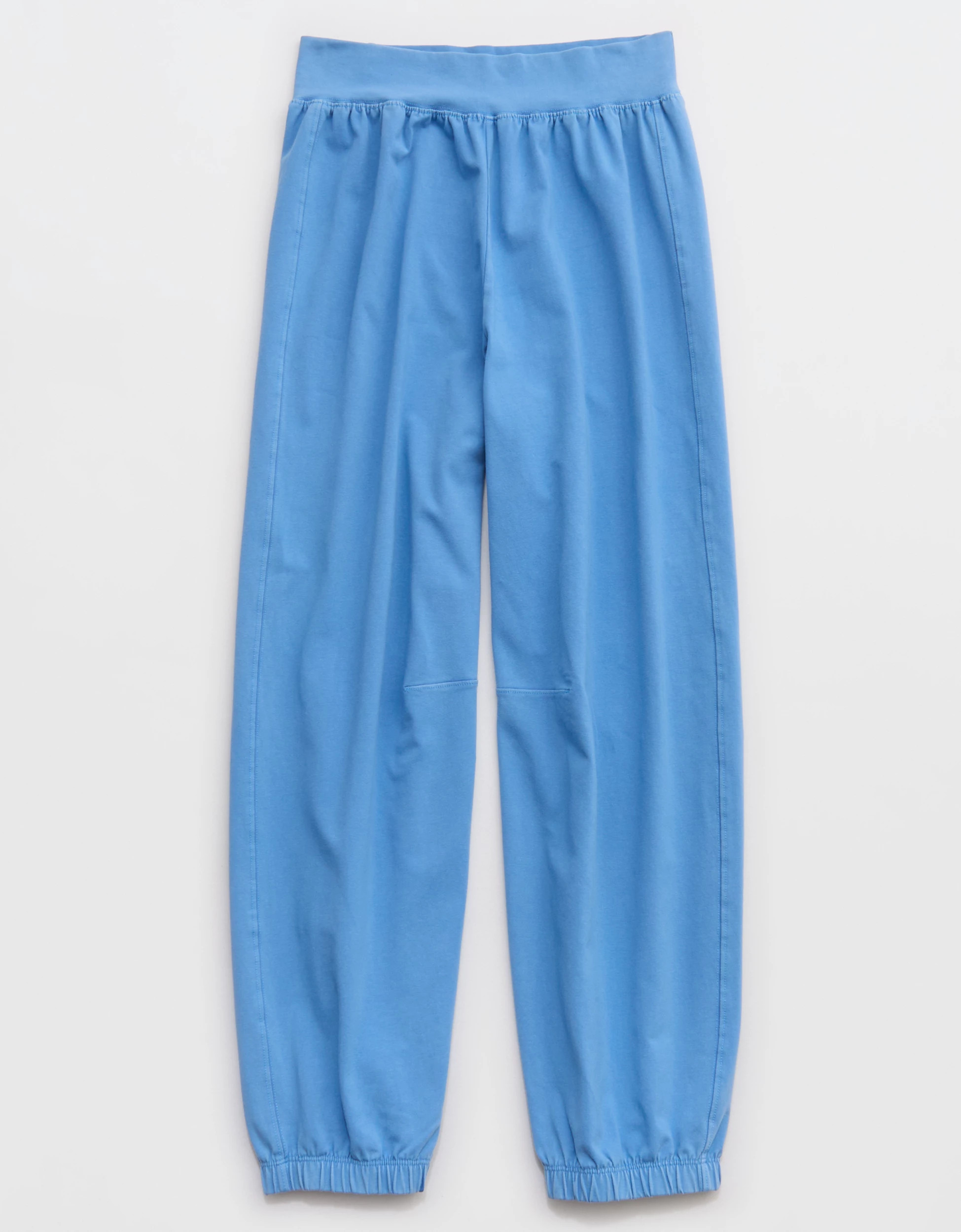 OFFLINE By Aerie OG Cotton Baggy Jogger | American Eagle Outfitters (US & CA)