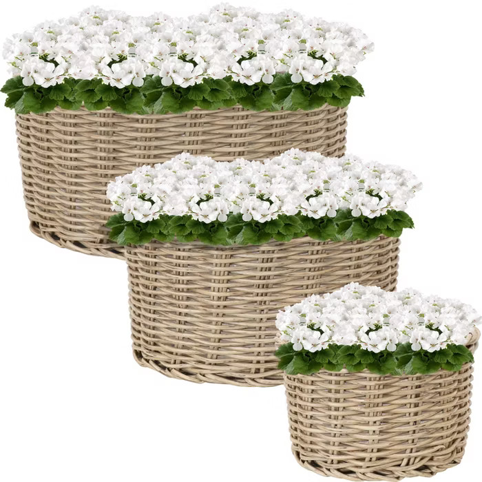 3pc Polyrattan Round Indoor/Outdoor Beige Planters - 8", 11.75" and 14" Sunnydaze Decor | Target