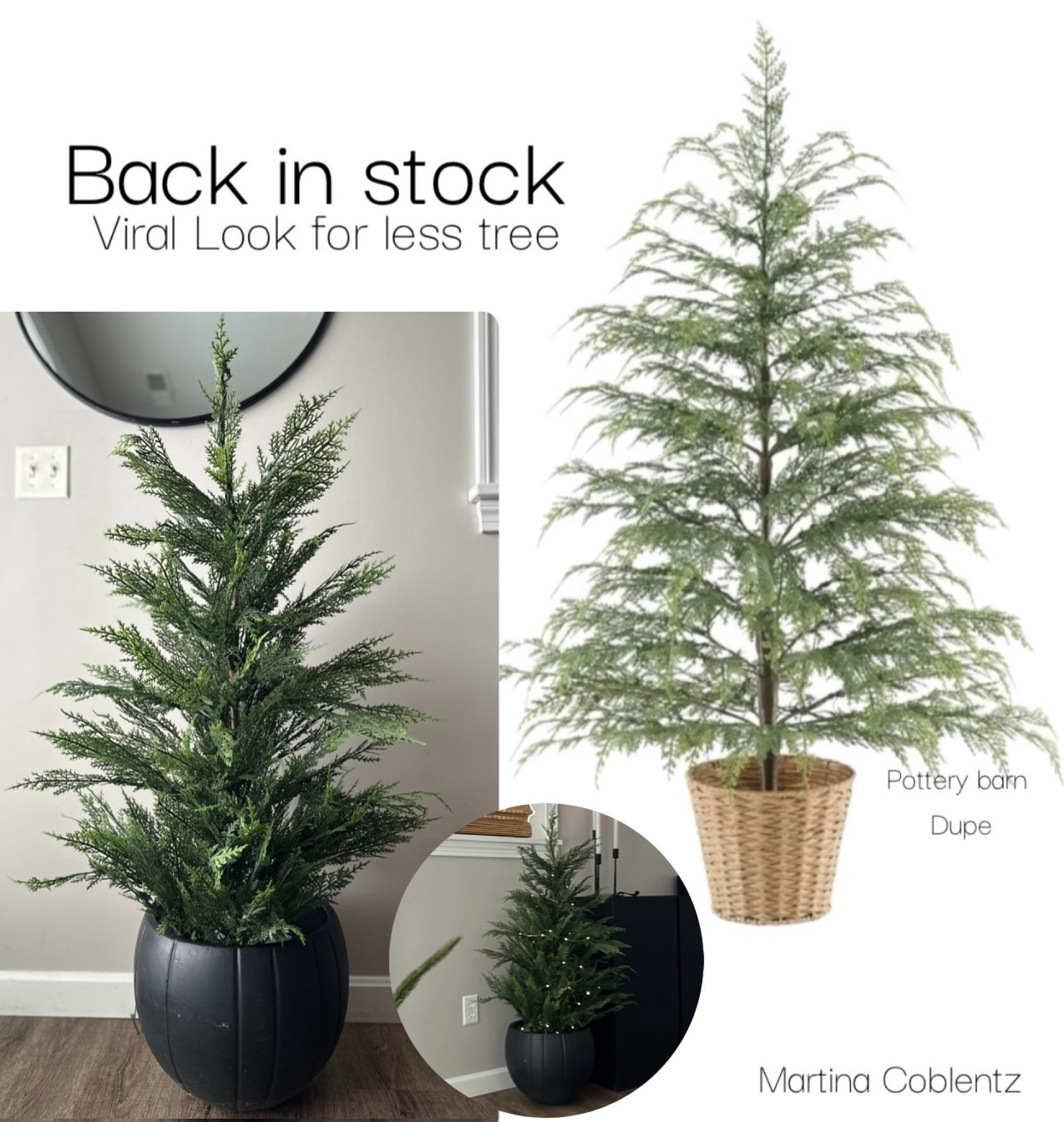 My viral look for less tree is back in stock this year and has a new basket🫶🏽 these twinkle trees sold out soo fast last year. 
This is a look alike of pottery barns Cyprus trees! 


•Christmas •Christmas decor •viral •Cyprus tree •Texas house •Walmart finds •pottery barn •look alike •look for less trending •Christmas 2024 

#LTKFamily #LTKSeasonal #LTKHome