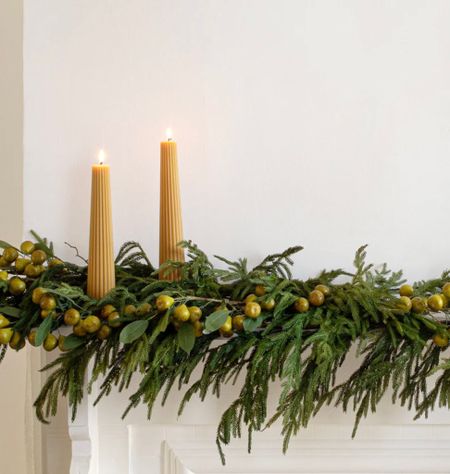 25% off the most realistic looking garland!! I’m in love with this whole collection and add to it each year. #norfolkpine #christmasgarland 

#LTKHolidaySale #LTKSeasonal #LTKhome
