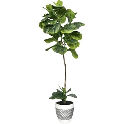 Fiddle-Leaf Fig Floor Palm Tree in Pot | Wayfair North America