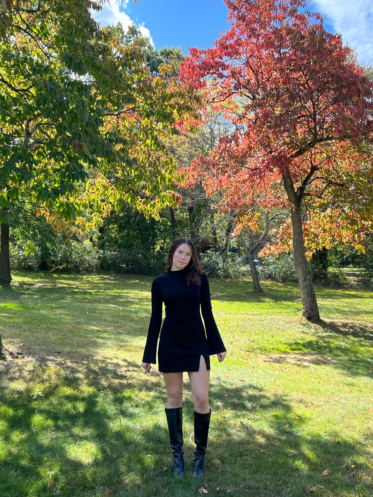 The perfect fall dress and boots 💛 (dress is from White Fox Boutique but similar one is linked!) 

#LTKSeasonal #LTKFindsUnder100 #LTKStyleTip