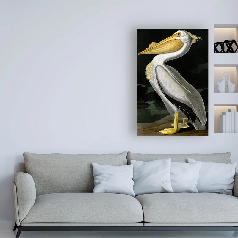 Highland Dunes American White Pelican by James Audubon - Print on Canvas & Reviews | Wayfair | Wayfair North America