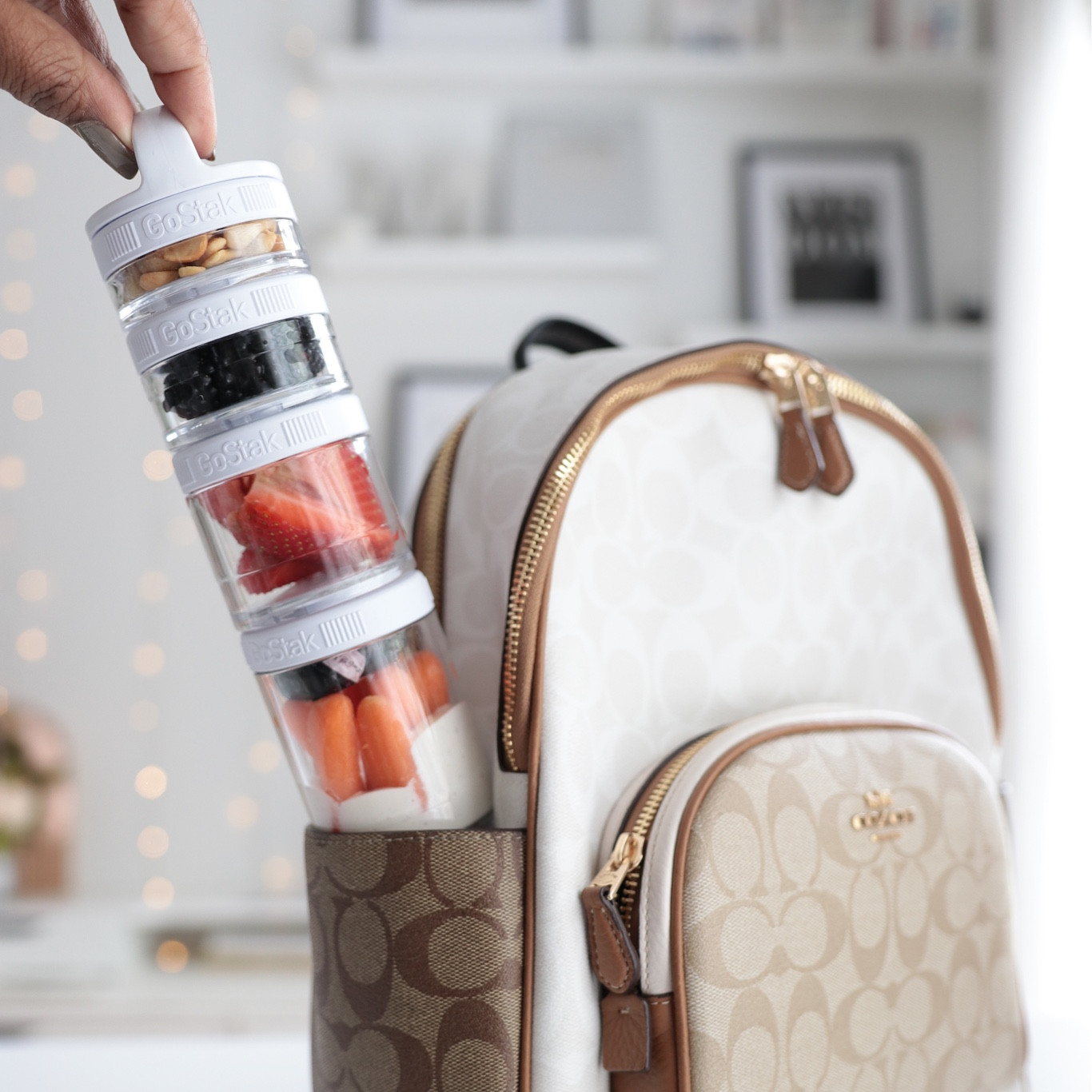 Travel Finds

#LTKFind #LTKhome #LTKfamily