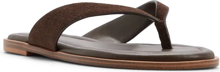 ALDO Autumnlee Flip Flop (Women) | Nordstrom | Nordstrom