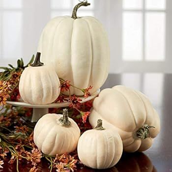 Factory Direct Craft Package of 5 Assorted Size Harvest Off White Artificial Pumpkins for Hallowe... | Amazon (US)