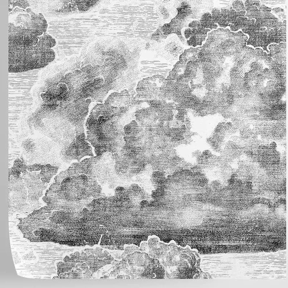 W4B White/Black/Grey Vintage Cloud Sky Pattern Wallpaper. Eco Paper DIY Easy to Apply Removable T... | Amazon (US)