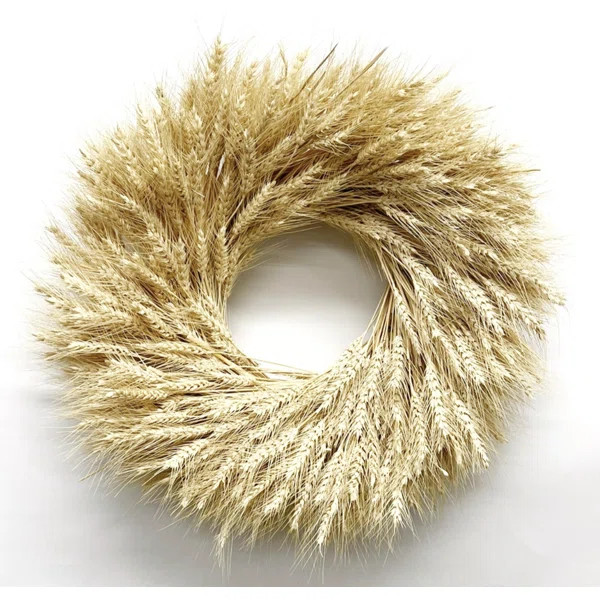 Dried Natural Blonde Wheat 22" Wreath | Wayfair North America