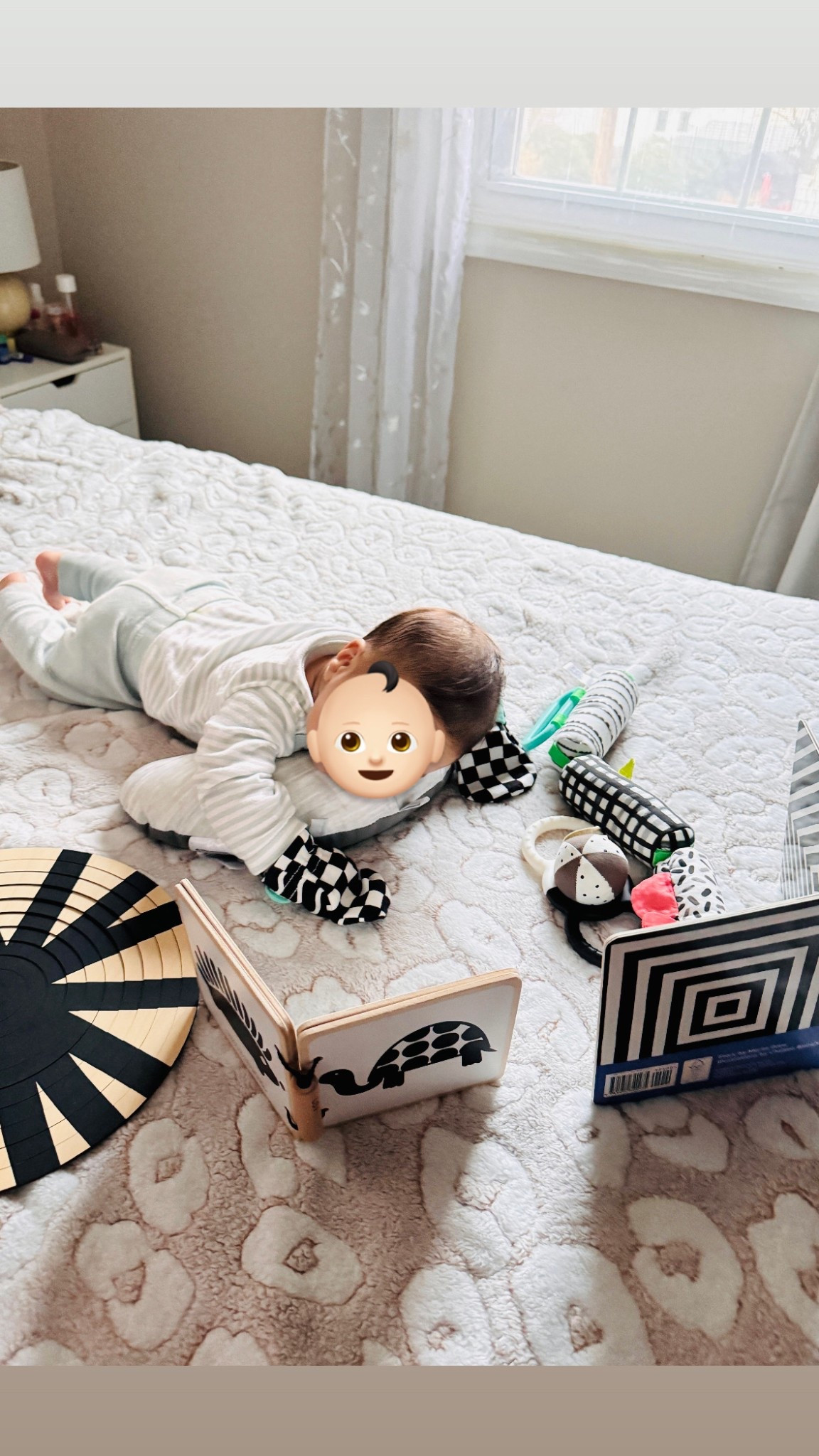 Lovevery looker play kit for newborn

#LTKFindsUnder100 #LTKSaleAlert #LTKBaby