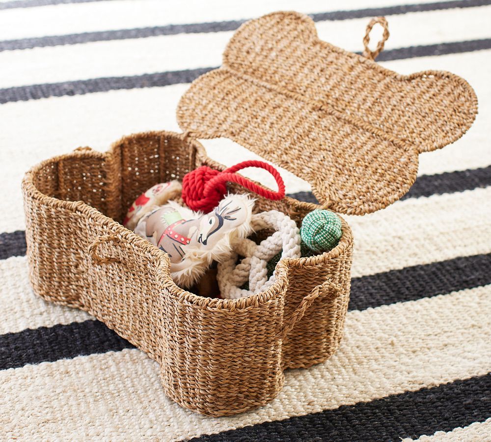 Safi Handwoven Seagrass Bone Storage Basket | Pottery Barn (US)