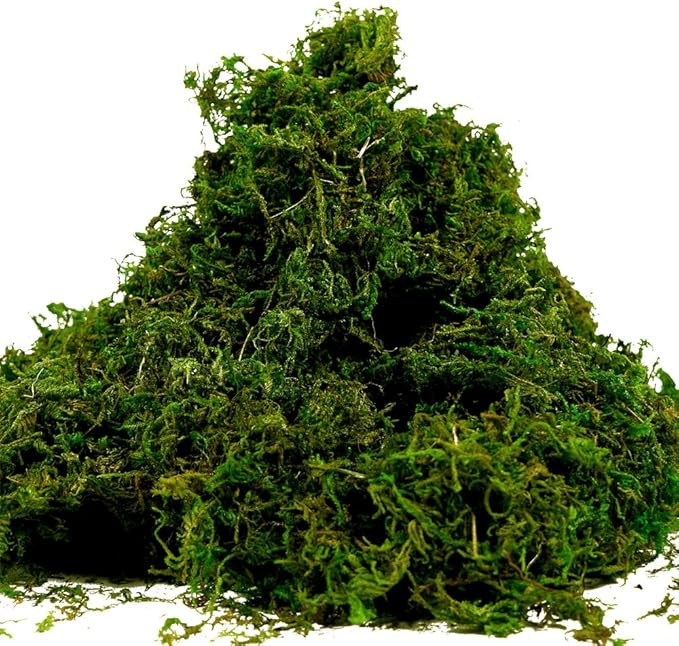 Farmoo Fake Moss for Crafts, Artificial Green Moss for Potted Plants Centerpieces Decor (3.5OZ) | Amazon (US)