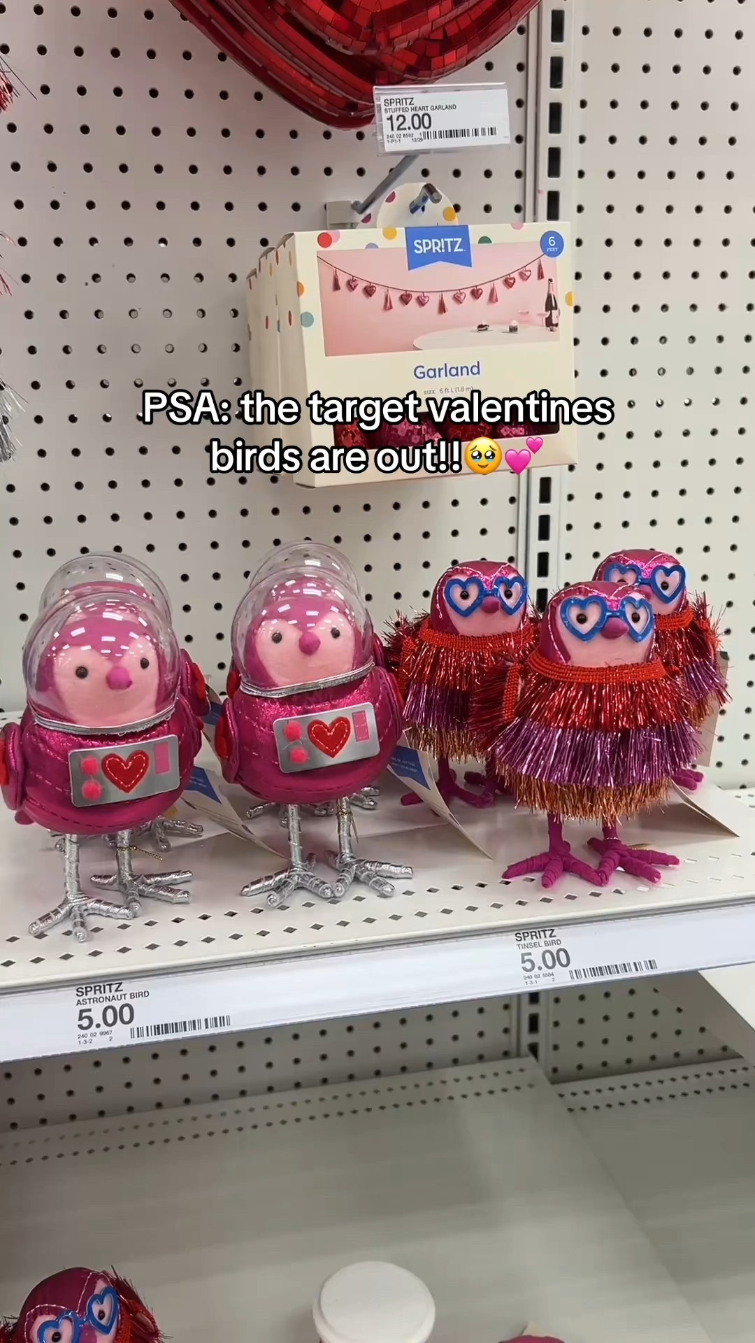Target Valentine’s Day birds!☺️💕

#valentines #valentinesday #valentinesdaydecor #target #targetfinds #galentines #galentinesday #home #homedecor #birds 

#LTKHome #LTKSeasonal #LTKvlog