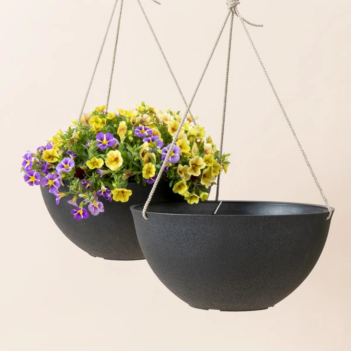 Boxdale Hanging Planter (Set of 2)ByJoss & Main4.6Rated 4.6 out of 5 stars.317 Reviews | Wayfair North America