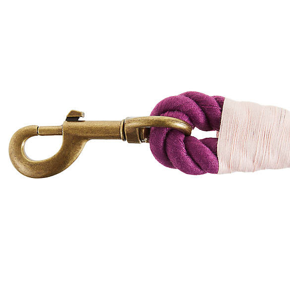 Top Paw® Explorer Collection Rope Dog Leash: 4-ft long | PetSmart