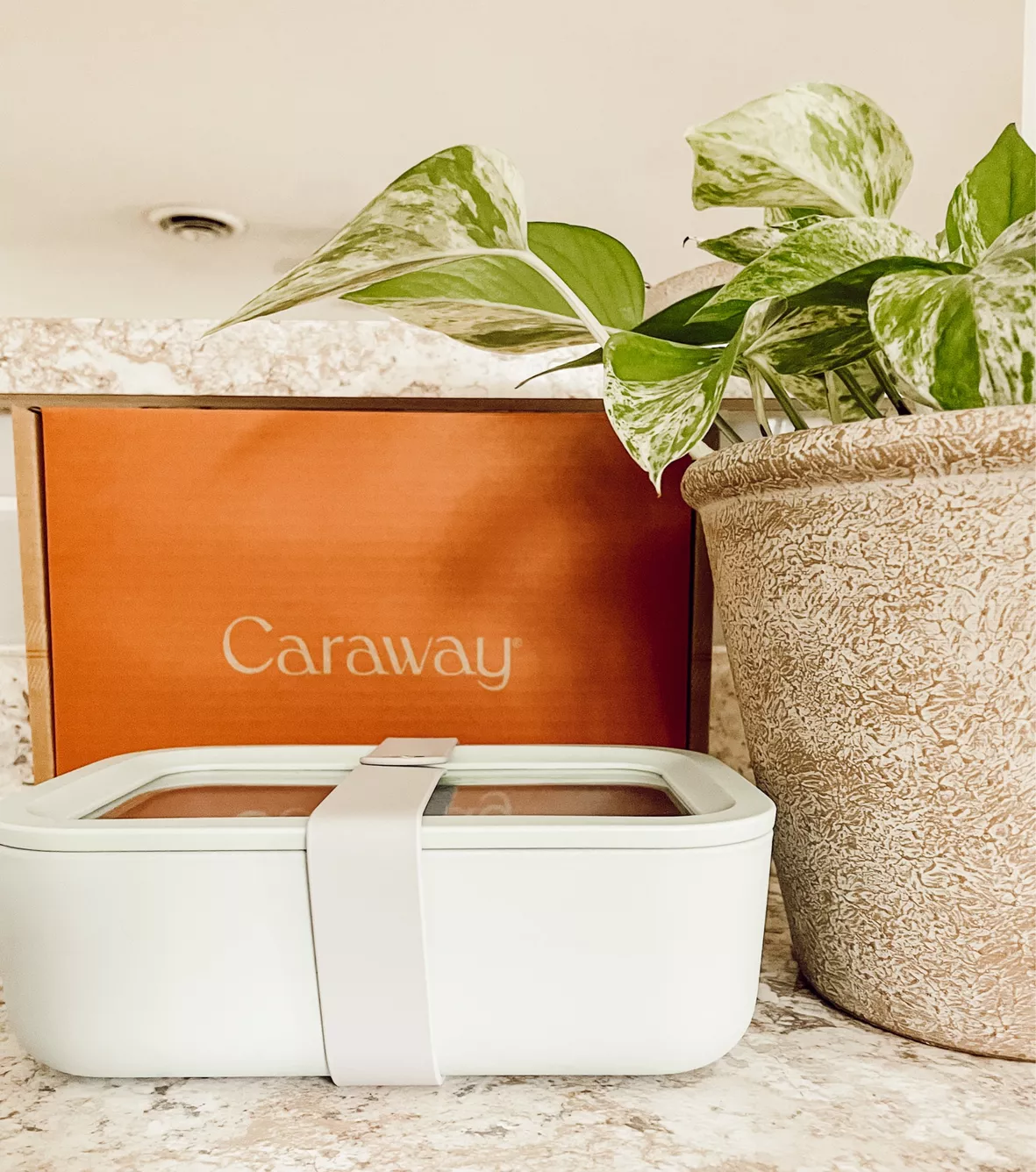 Caraway Food Storage Large Container Sage