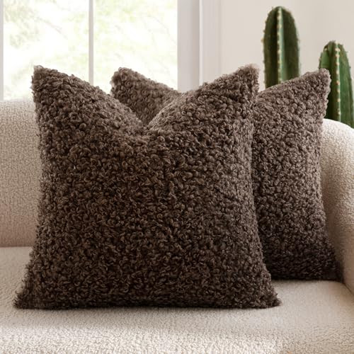 MIULEE Pack of 2 Chocolate Throw Pillow Covers 18x18 Inch Faux Fur Decorative Sherpa Pillow Covers Fuzzy Accent Soft Sheepskin Fleece Cushion Cases for Boho Home Decor Sofa Living Room Couch Bed | Amazon (US)