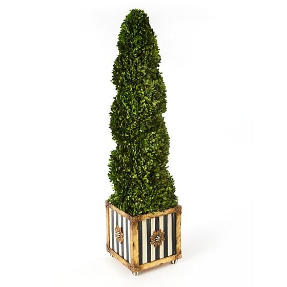 Swirl Topiary | MacKenzie-Childs