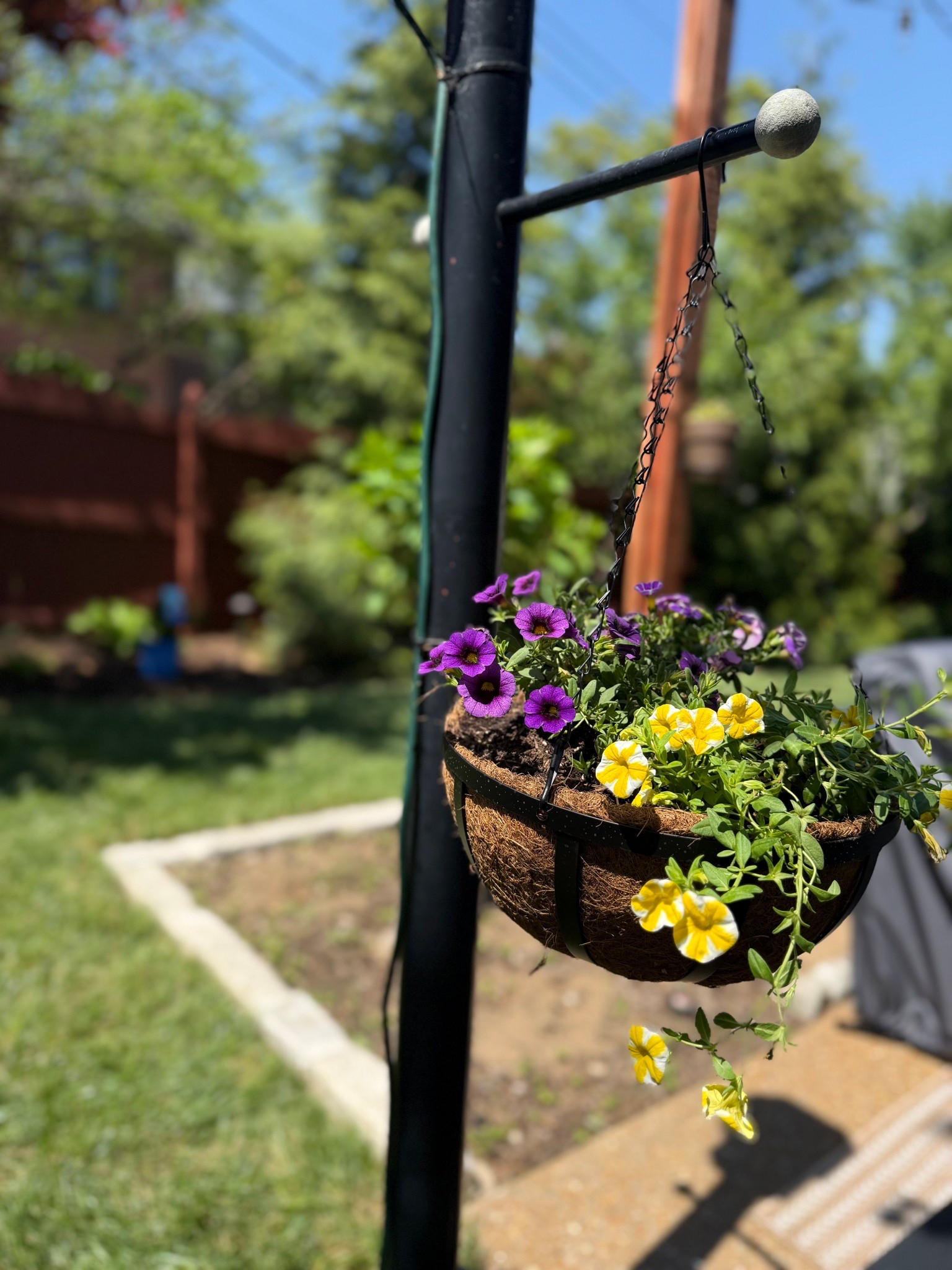 New hanging basket! I love this basket holder from Lowe’s it makes it feel so much more elevated than a plastic basket. 

#LTKdayinmylife #LTKHome #LTKSeasonal