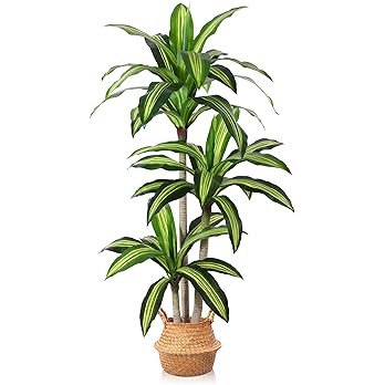 Ferrgoal Artificial Plants, 5 Ft Dracaena Tree Faux Plants Indoor Outdoor Decor Fake Tree with Wo... | Amazon (US)
