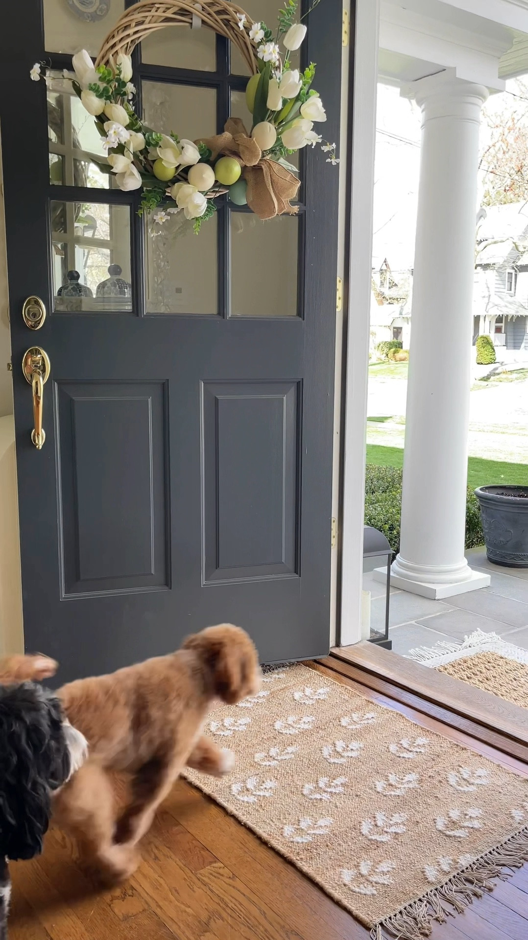 Brand new Erin Gates bloom rug look for WAY less!!! 😍🙌🏻 Available in 4 sizes, you can snag this 2x3 for under $20!! Already selling fast!!!

#LTKsalealert #LTKhome #LTKfindsunder50

#LTKFindsUnder50 #LTKSaleAlert #LTKHome