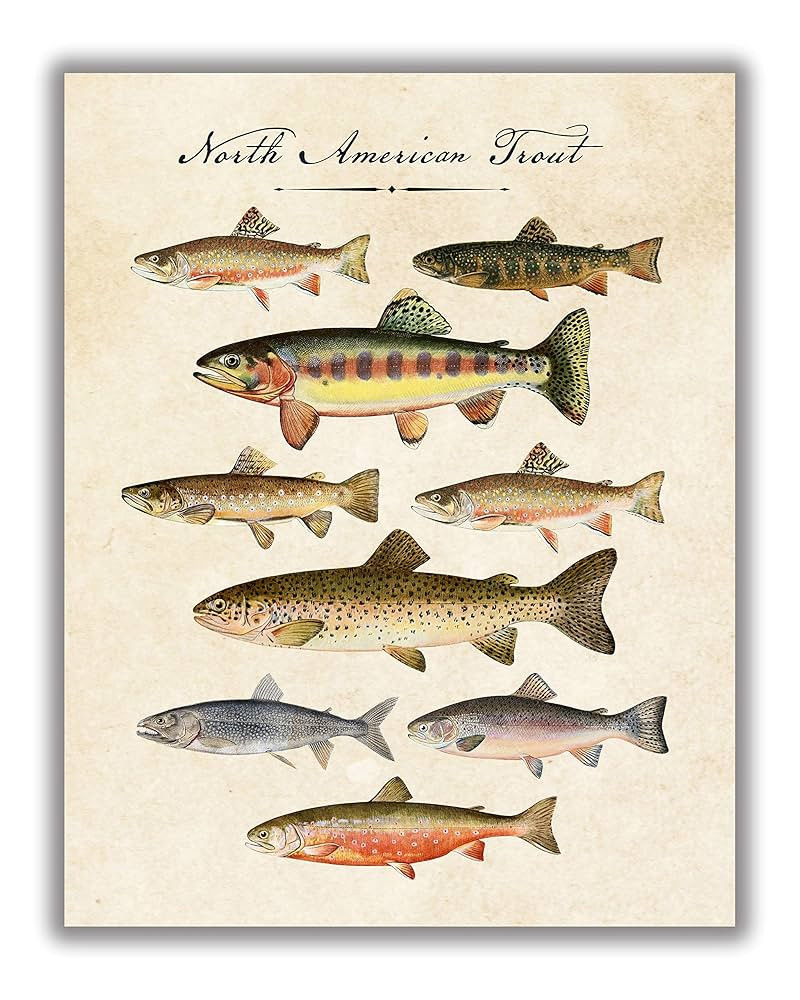 Visit the WESTBROOK DESIGN STUDIO Store | Amazon (US)