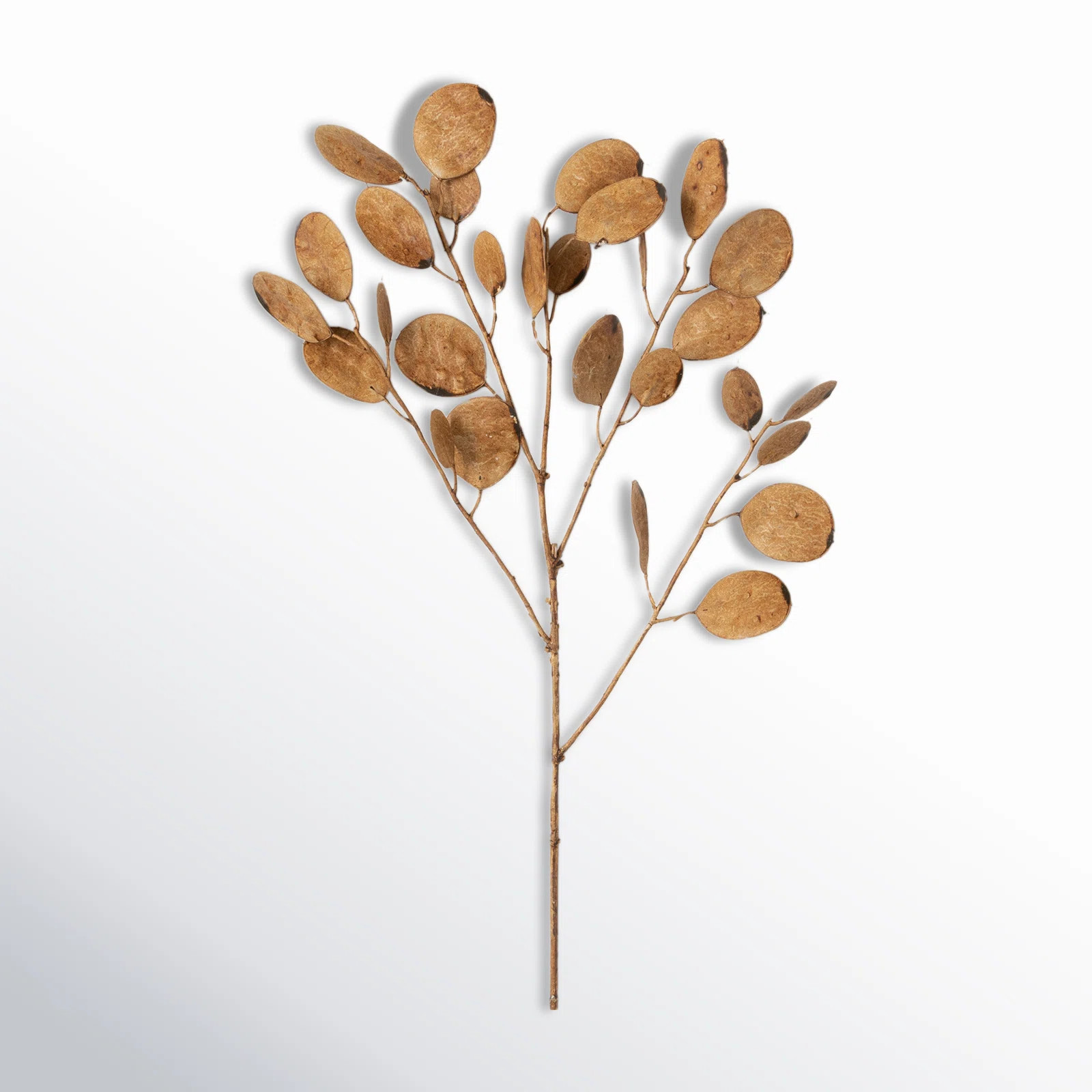 Madie Linaria Arrangement | Wayfair North America