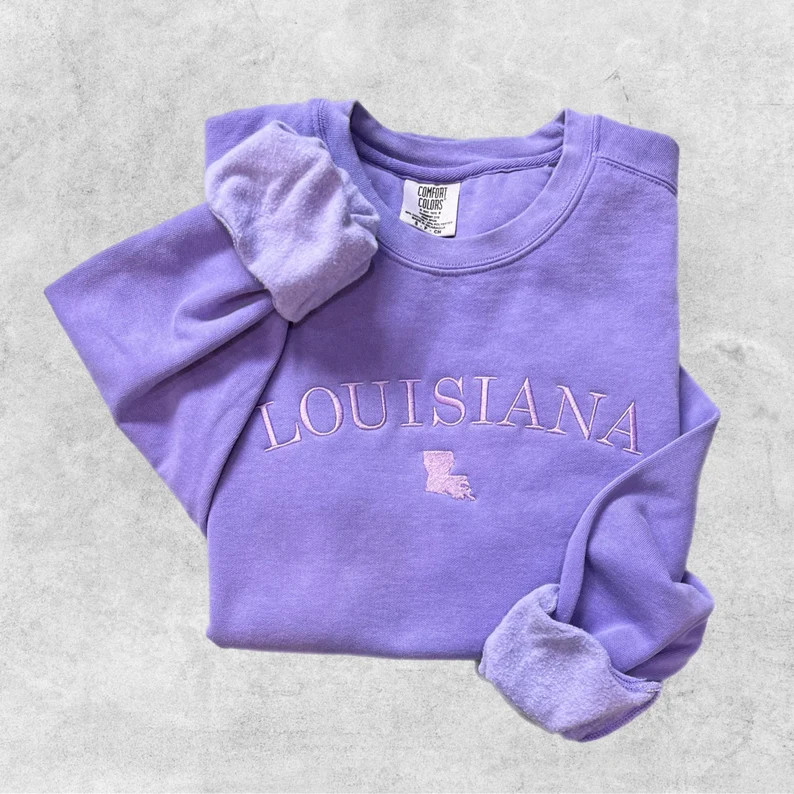 Minimalist Louisiana Sweatshirt, Embroidered State Name Sweater, State of Louisiana Crewneck, Mon... | Etsy (US)