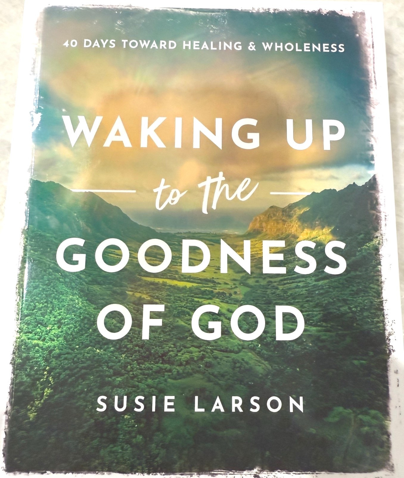 Currently reading as part of my devotional and Bible study time❤️🙏🙌

#LTKFamily #LTKBeauty #LTKOver40