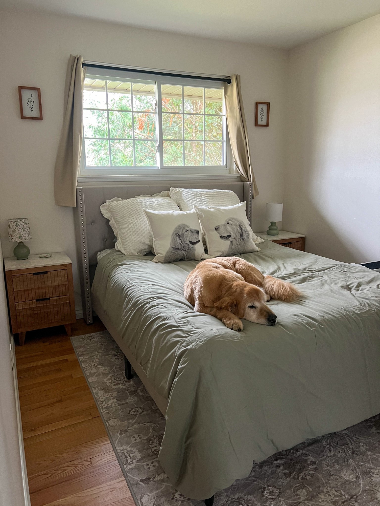 The coziest room 

#LTKHome #LTKSaleAlert #LTKPets