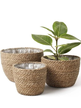 3pcs Straw Flower Pot, Minimalist Solid Color Plant Container For Home | SHEIN
