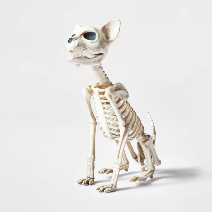 7.75" Small Sitting Kitten Skeleton Halloween Decorative Prop - Hyde & EEK! Boutique™ | Target
