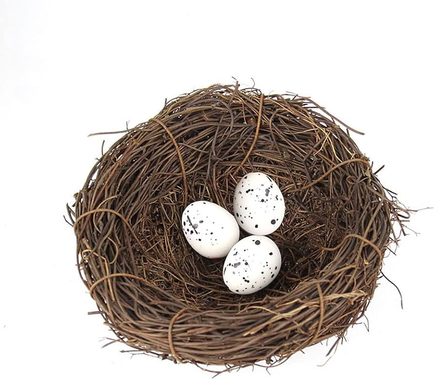 Rattan Bird Nest Handmade Rattan Bird Nest Artificial Bird Nest with Artificial Egg DIY Birds Nes... | Amazon (CA)