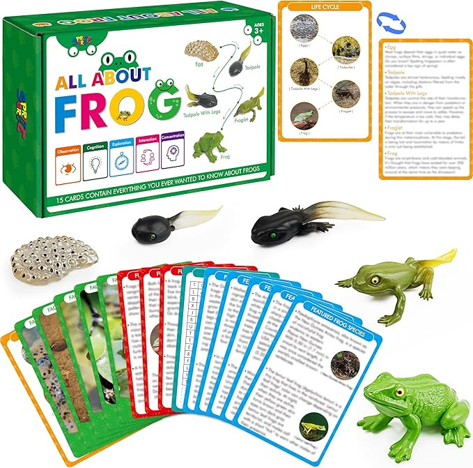 15 Frog Life Circle Flashcards with 5 Plastic Figurines, Frogs Introduction Cards Plastic Insects... | Amazon (US)