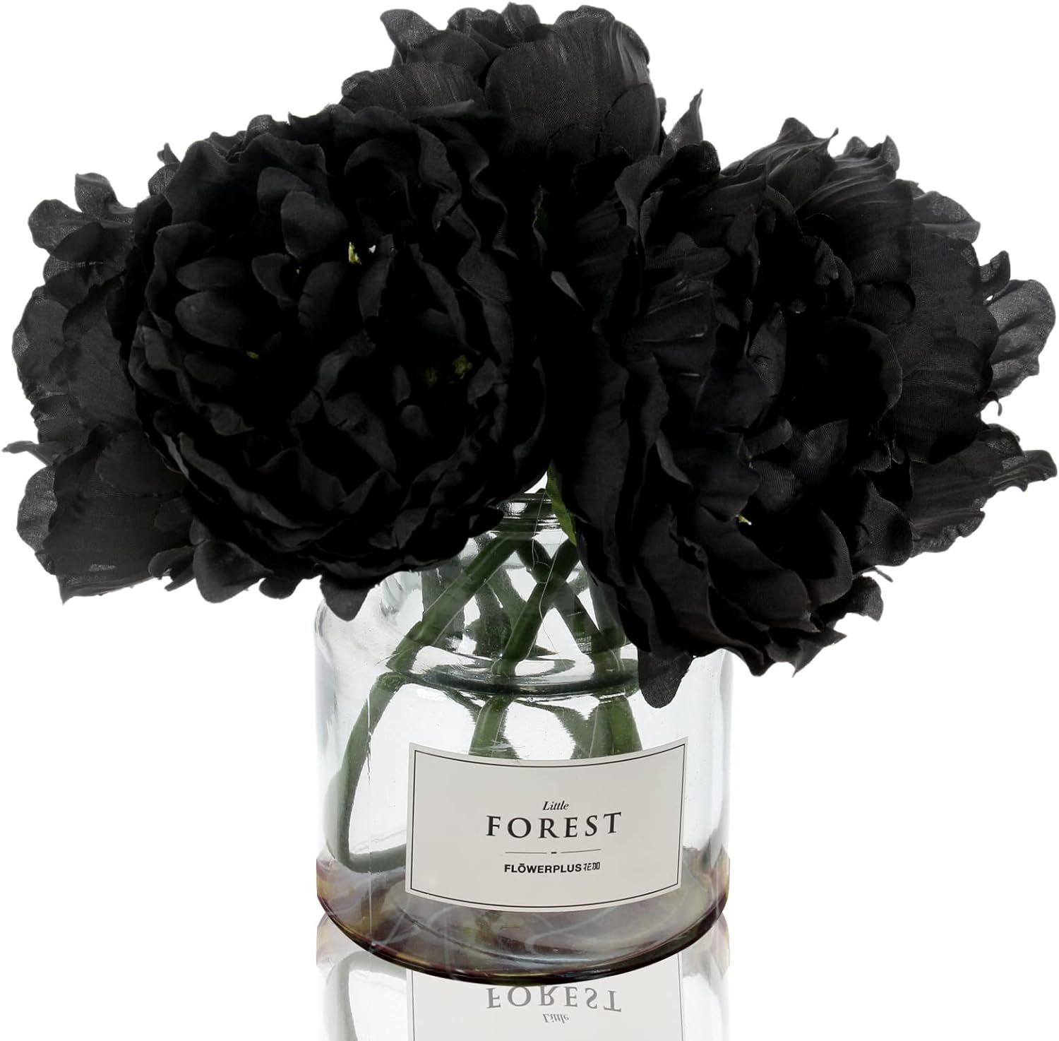 Tinsow Artificial Peony for Home Decoration, 5 Pcs Faux Black Peonies Flowers for Halloween Decor... | Amazon (US)
