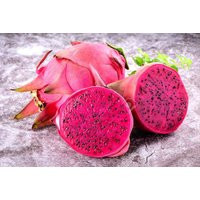 Red Dragon Fruit Seeds ~ Spectacular Flowers Very Easy To Grow, Germinates Readily Pitaya | Hylocereus Costaricensis | Etsy (US)