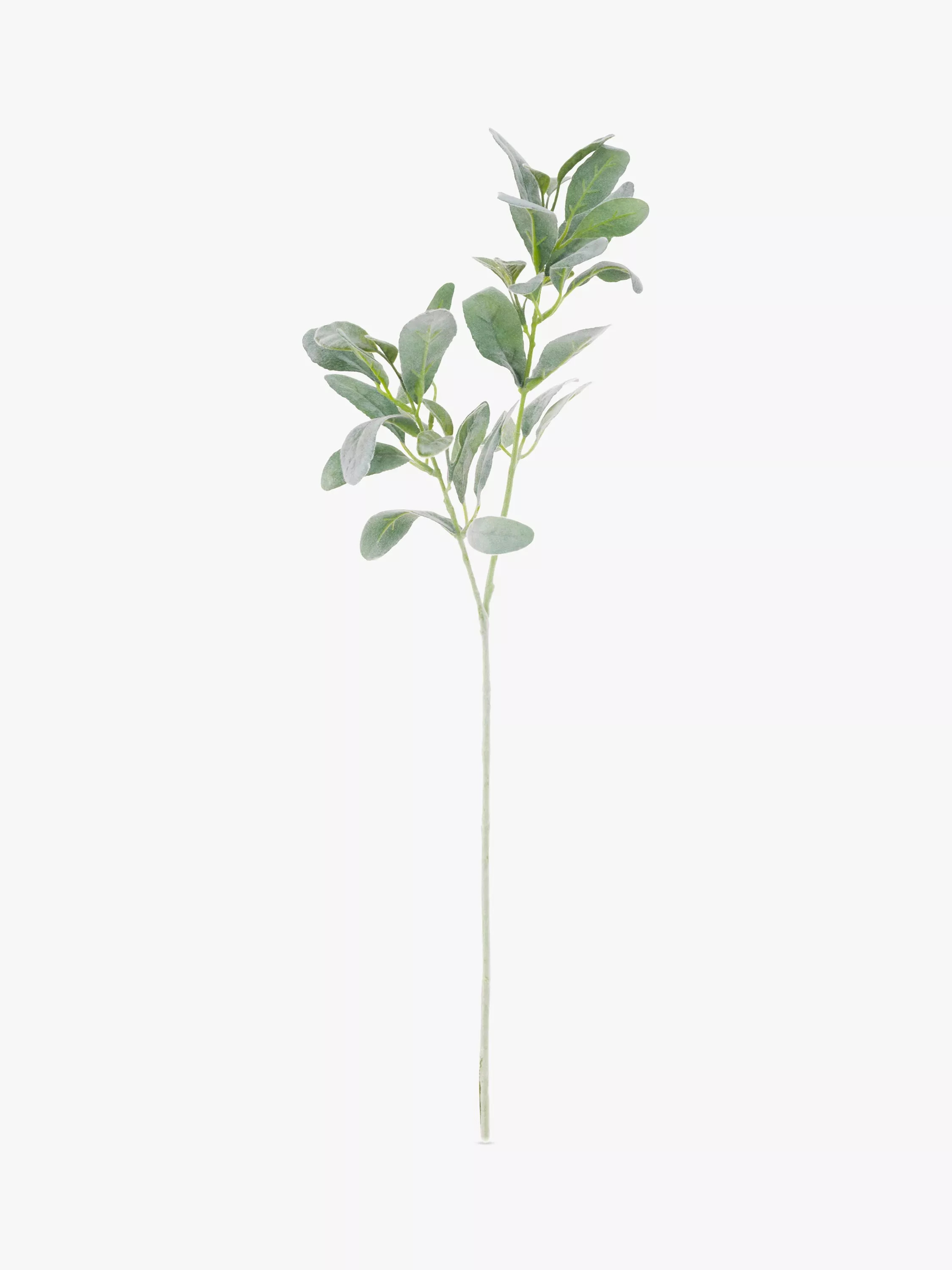 Floralsilk Artificial Lambs Ear Spray | John Lewis (UK)