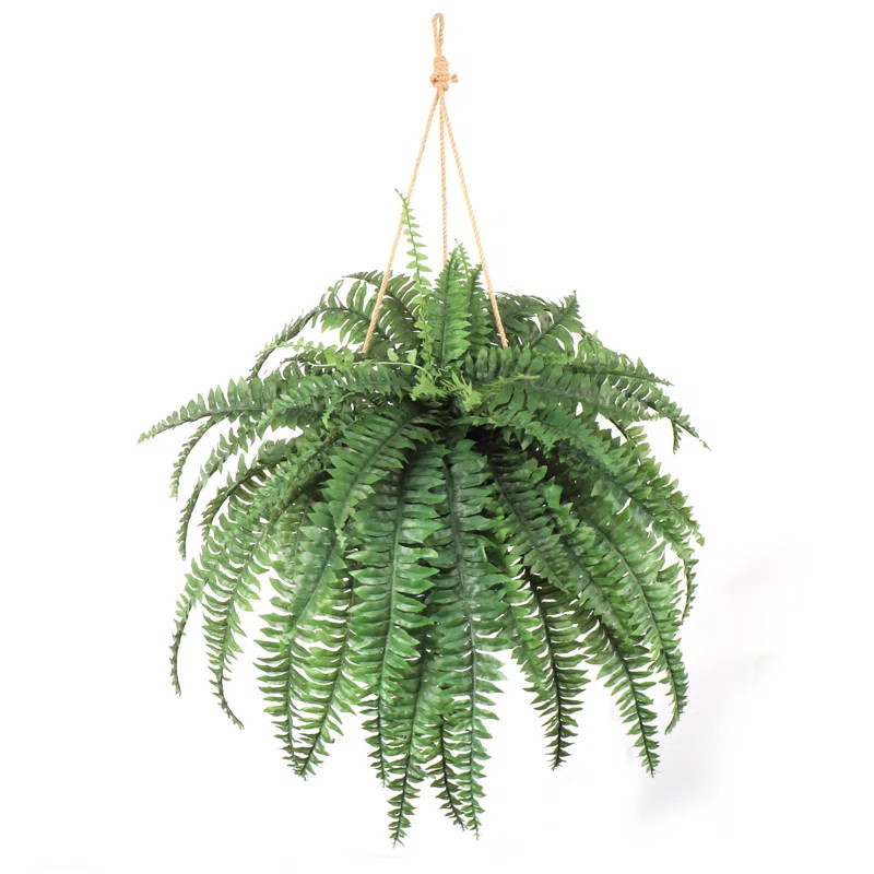 48'' Faux Fern Plant (Set of 4)ByGracie Oaks4.6Rated 4.6 out of 5 stars.38 Reviews | Wayfair North America